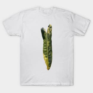 Rare and Expensive Variegated Philodendron Billietiae Design T-Shirt